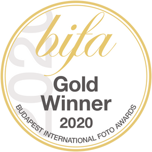 Bifa 2020 gold award - Huntington beach surfer 70*50 cm - Gold edition of 6